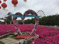 -广东花都香草世界旅游度假区