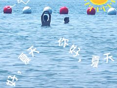 -碧海金沙