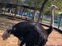 -武汉紫薇都市田园