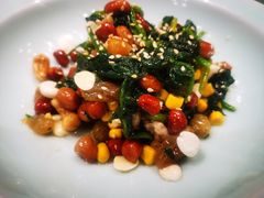 八宝有机菠菜-宝轩渔府·老字号海鲜·正宗津菜(水上店)