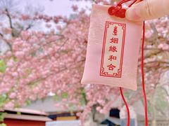-西安大兴善寺