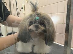-FAELING PETS美天灵宠物(富力广场店)