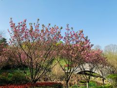 -南京市江宁方山