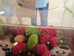 -Xcape异时刻密室逃脱魔法互动(瑞虹天地太阳宫店)