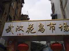 -武汉花鸟市场