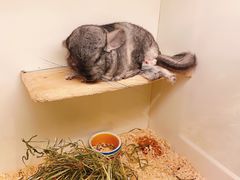 -龙猫仔乐园(惠福东路店)