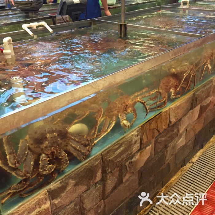 海中舟海鲜广场图片 - 第1121张