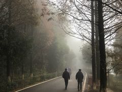 -石燕湖生态旅游景区