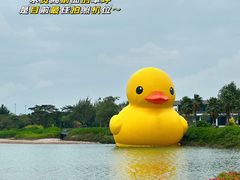 -深圳人才公园