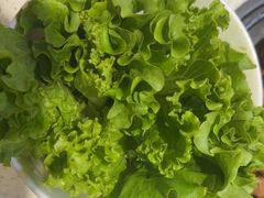 -韩香福烤肉庄园(华夏路店)