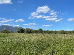 -野鸭湖国家湿地公园