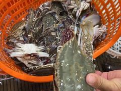 -沈家门渔港