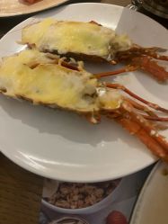 -上海雅居乐万豪侯爵酒店·宴会厅