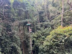 -西双版纳原始森林公园