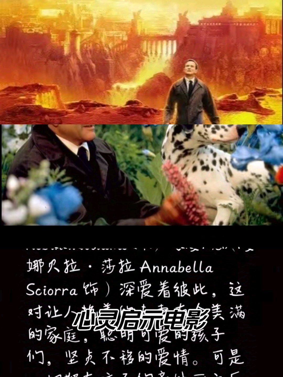 今晚看了电影《美梦成真》
"天堂的世界来自于你的内心世界,你内心