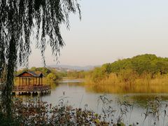 -上海市保健医疗中心(华东疗养院)