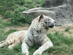 -杭州野生动物世界
