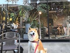 -一尺花园(首钢店)
