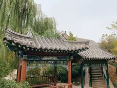 -戚继光故里