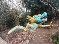 -紫金山山顶公园