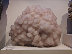 -重庆自然博物馆(新馆)