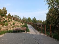 -白水寺森林公园