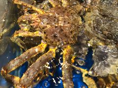 -盒马鲜生(顺义店)