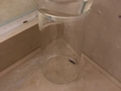 -青岛海尔洲际酒店