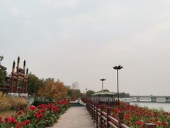 -绿堤公园