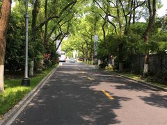 -浙江西子宾馆·瑶园咖啡厅