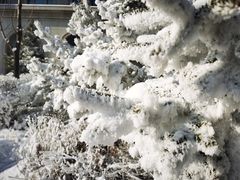 -国信南山温泉