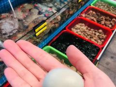 -望海潮海鲜店 特色家常菜(在海一方店)