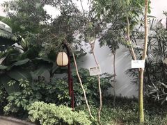 -汤山翠谷生态餐厅