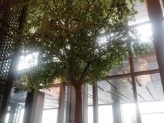 -济南香格里拉·咖啡泉自助餐厅