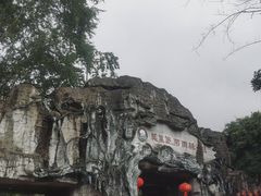-莫里热带雨林景区