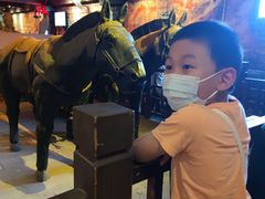 -青岛方特梦幻王国