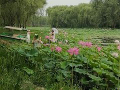-东郊湿地公园