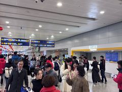 -上海浦东国际机场-T2航站楼