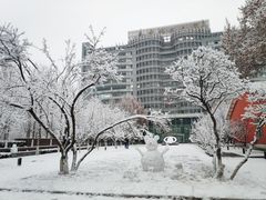 -北京化工大学(东校区)