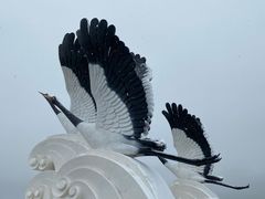 -郭莽湿地