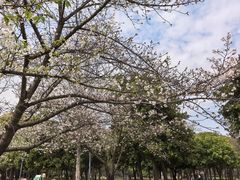 -蠡湖大桥公园