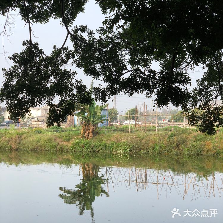 地地道道鱼片粥