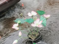 -特味村福园