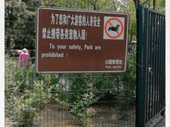 -大兴滨河森林公园