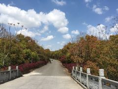 -上海海湾国家森林公园