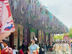 -芜湖方特东方神画