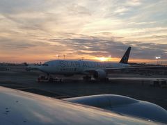 -纽瓦克自由国际机场