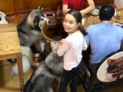 -李小姐の猫咖啡馆(五角场店)