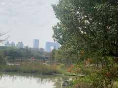 -海珠湖公园