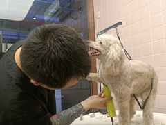 -FAELING PETS美天灵宠物(富力广场店)